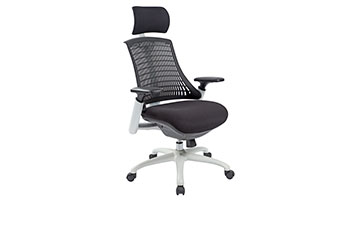 電腦椅-椅子圖片-辦公椅-人體工學椅-人體工學電腦椅